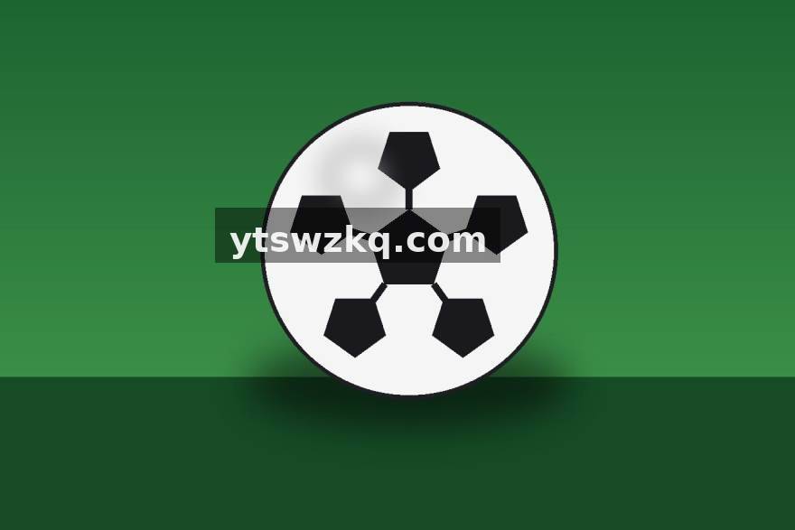 从青训营到主舞台：三位教练的转型手记与执教哲学
